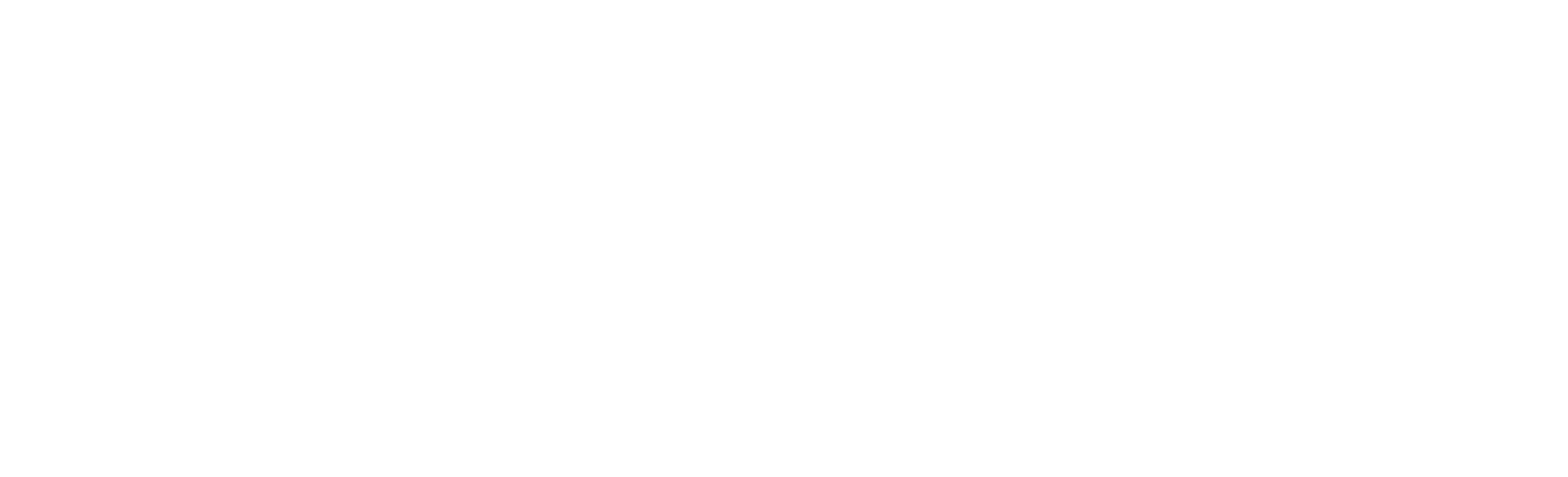 Assi Auto